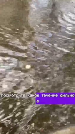 На Лидии Рябцевой - потоп из-за прорыва. 💦