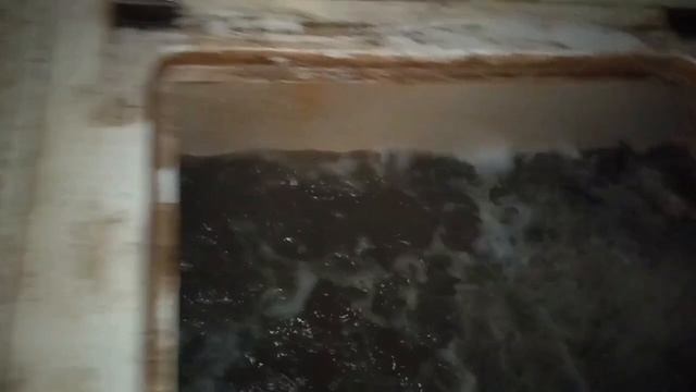 Запуск карпа смотреть онлайн