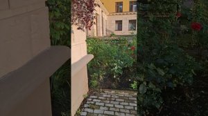 Девочки - подруги и друзья во дворе🌞Таисия в эфире ❤️ ИЮЛЬ25