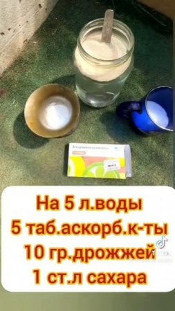 Очень дельный совет.