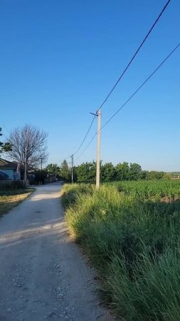 🔴 Moldova mea ești un colț de rai...