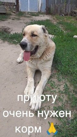 +7985 193 0027 сбер элплат