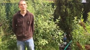 Отзыв для Скважина 24 - Ремонт и чистка скважин в Москве и МО