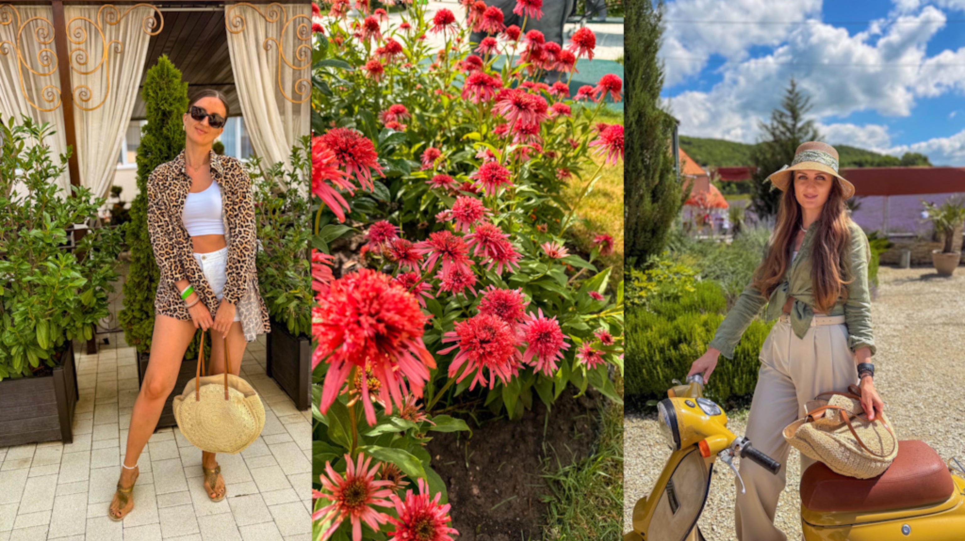 VLOG # 32 Июль 2025 Отель Democratia **** Сукко Большой Утриш Лавандовая ферма смотреть онлайн