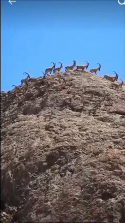 ТАДЖИКИСТАН 🇹🇯