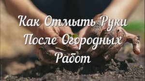 Как Отмыть Руки После Огородных Работ.
