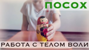 РАБОТА С ТЕЛОМ ВОЛИ – ПОСОХ / К. Полякова
