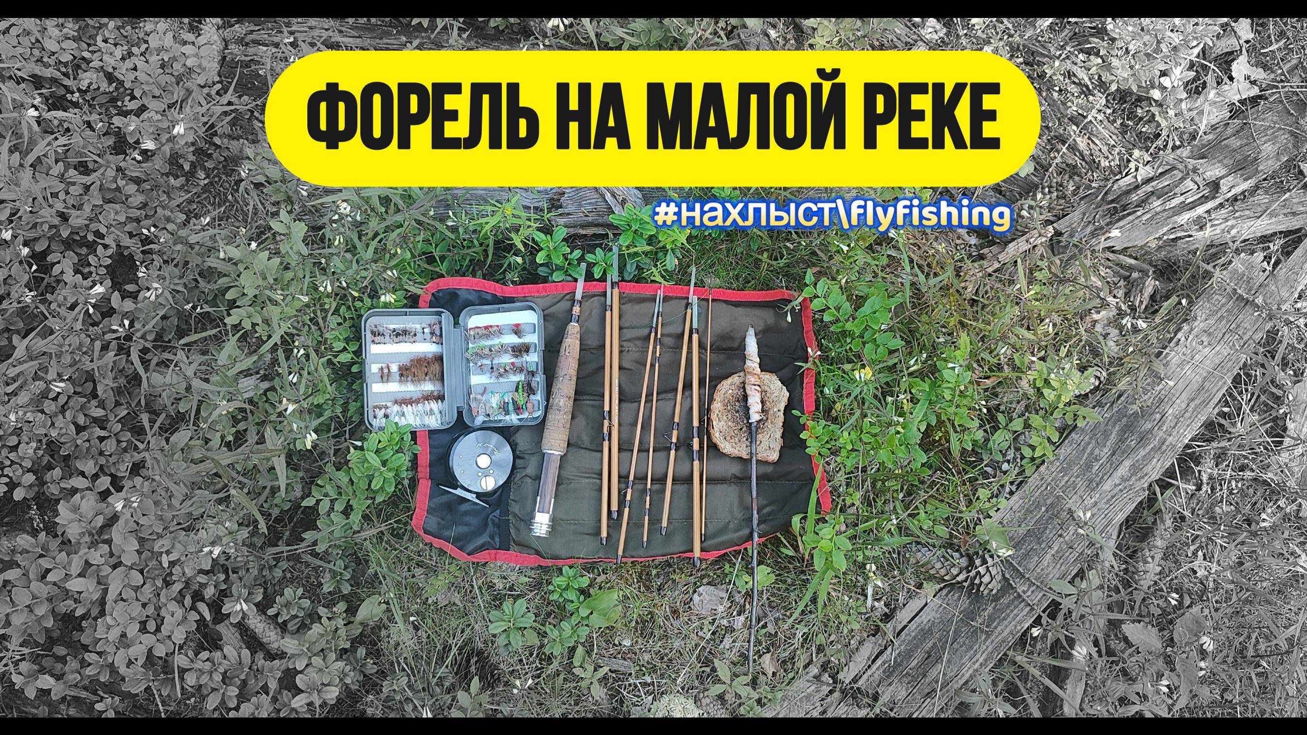 | Ловля форели нахлыстом на микро речке | #рыбалка #нахлыст #flyfishing смотреть онлайн