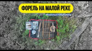 | Ловля форели нахлыстом на микро речке | #рыбалка #нахлыст #flyfishing