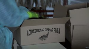 ИП Селезнева Анна