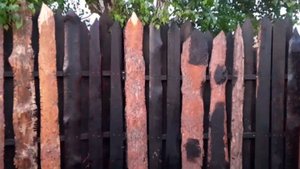 Никитка сэнсэй и Кокосик монтируют забор из горбыля и фундамент для нового сарая