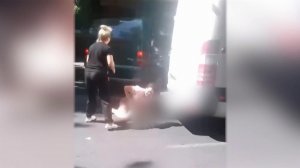 В Одесской области чуть не убили женщину, которая пыталась заступиться за призывника