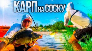 2 СЕРИЯ.КАРП на поплавок в ИЮЛЕ,ему НРАВИТСЯ ЭТА СОСКА. РЫБАЛКА по ПРОСТОМУ