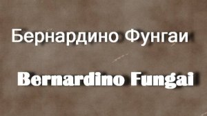 Бернардино Фунгаи  Bernardino Fungai биография работы
