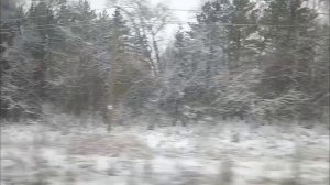 69) "Осень-24" Поездка в Кушву и в Екатеринбург, покатушки по ЕКБ. Форс-мажор во время поездки.