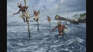 Знакомство с творчеством Стив Маккарри