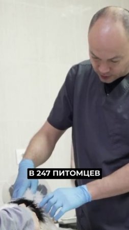 📍Что делать, если вашу собаку покусали