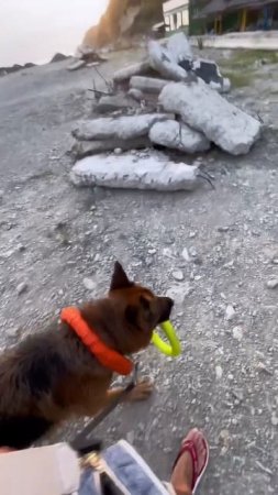 Все что нужно знать …