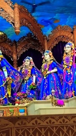 Radha Madhava darshan 5 in Mayapur Dham #mayapur #radhamadhava #shorts