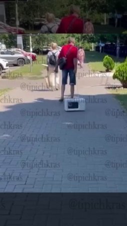 Бытовую технику тоже надо выгуливать.