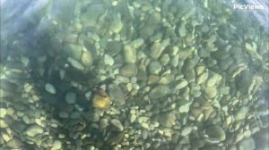 Сочи Лазаревское пляж Калипсо сегодня 18 июля 2025. Море и погода в Лазаревском сейчас. Обстановка