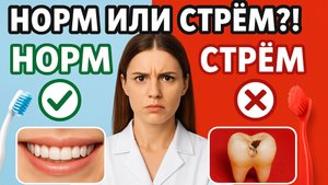 Стоматолог отвечает на вопросы. Норм или Стрём?