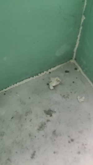 Сравнение звука, залитого участка стены утеплителем - пенобетоном и не залитого, вата так же