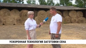 Ускоренная технология заготовки сена на полях Хабаровского края