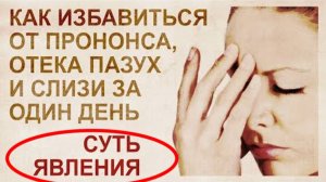 ⚡ Грибница в носоглотке - ПАРАЗИТ или ДРУГ ...
