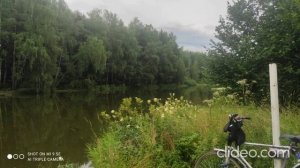 Школа Английского Языка в Пушкино _ Качественное образование в России _ Велопрогулки