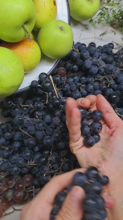 Виноградный компот на зиму! Вкуснятина!😋😋😋