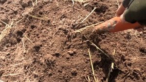 монеты на распашке