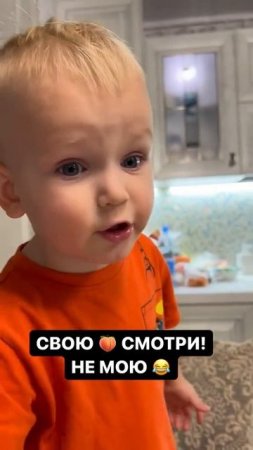 Животные приколы и не только