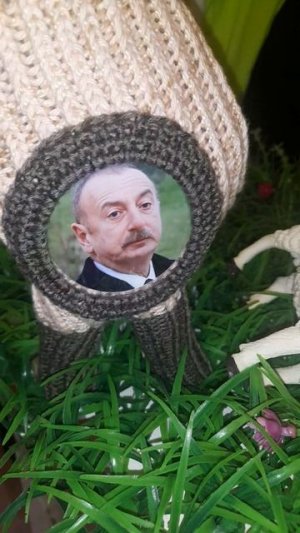 Алиева задержали в Москве