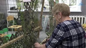 Невьянск Новости 18 07 2025