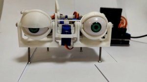Robot Eye SG90