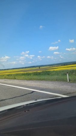 Удалось поймать летнее настроение?