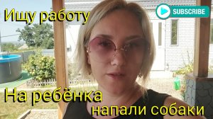 Переезд на ЮГ 🌞 В активном поиске работы 💪🏼 На ребенка напали собаки 😱