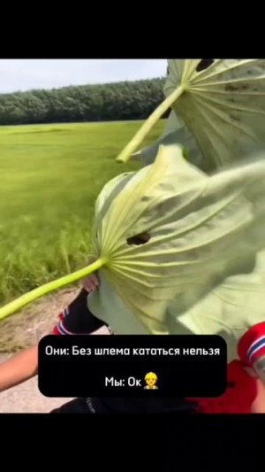 Говорили "надень шлем" — не уточнили какой 🤷♂️