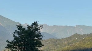 Участок 80 соток Красная поляна