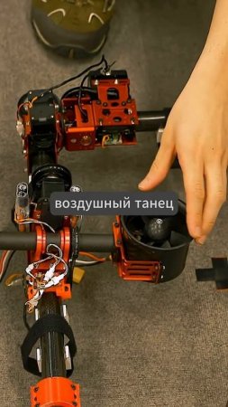 Это не CGI — это настоящий летающий дракон! #ai #technology