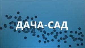 КАК РАЗМНОЖАТЬ ЕЖЕВИКУ ПОБЕГАМИ И ЧЕРЕНКАМИ