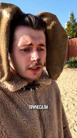 Твоя собака тоже так делает?🐶
