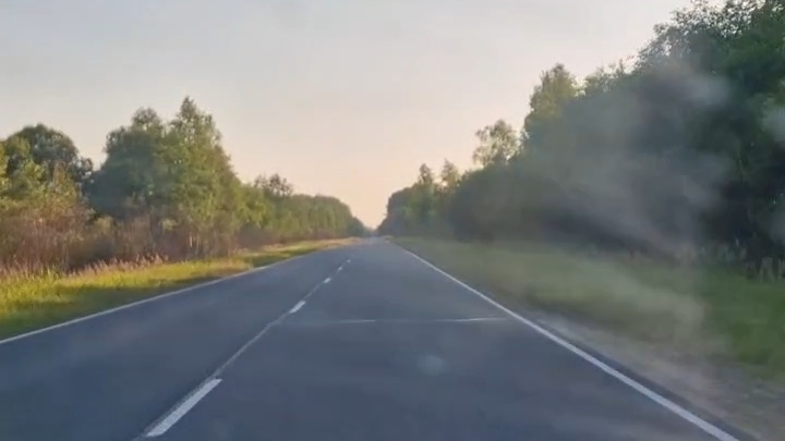 Дорога в Новгородской области