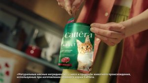 Contrapunto — Cattera