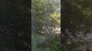 тут.