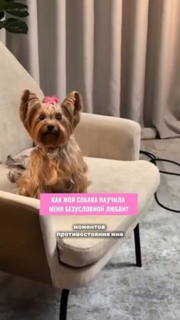 Что такое безусловная любовь? #любовь #отношения