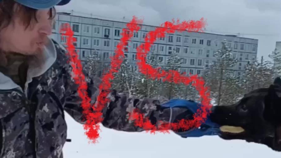 Не очень смертельная битва