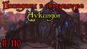 Где вход или как попасть в подземелье #110 - Аукиндон(Auchindoun)