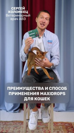 Преимущества и способ применения MaxiDrops для кошек